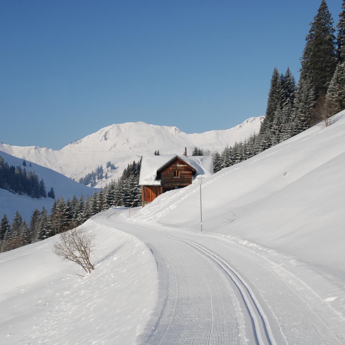 Loipe und Winterwanderweg in Damüls im Bregenzerwald